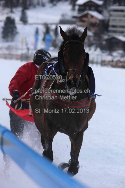 ET0Q0528 prot